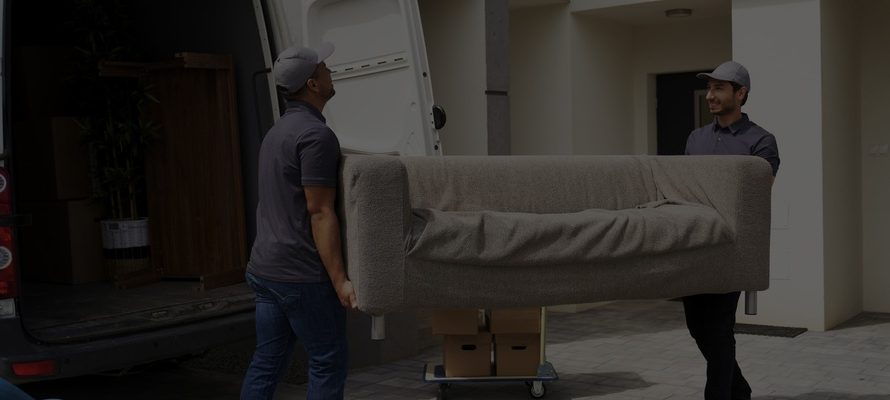 Wildberries запустит бесплатную доставку крупногабаритных товаров по России и СНГ